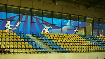 开云体育官方网入口-澳大利亚队未来如何利用青训体系打造新一代乒乓巨星，澳大利亚乒乓球